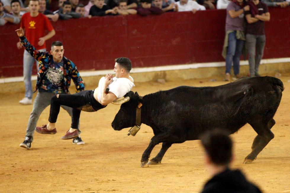 Lleno en la Misericordia para despedir las vaquillas de las fiestas del Pilar 2019.