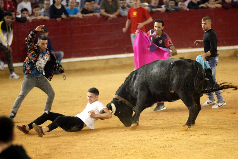 Lleno en la Misericordia para despedir las vaquillas de las fiestas del Pilar 2019.