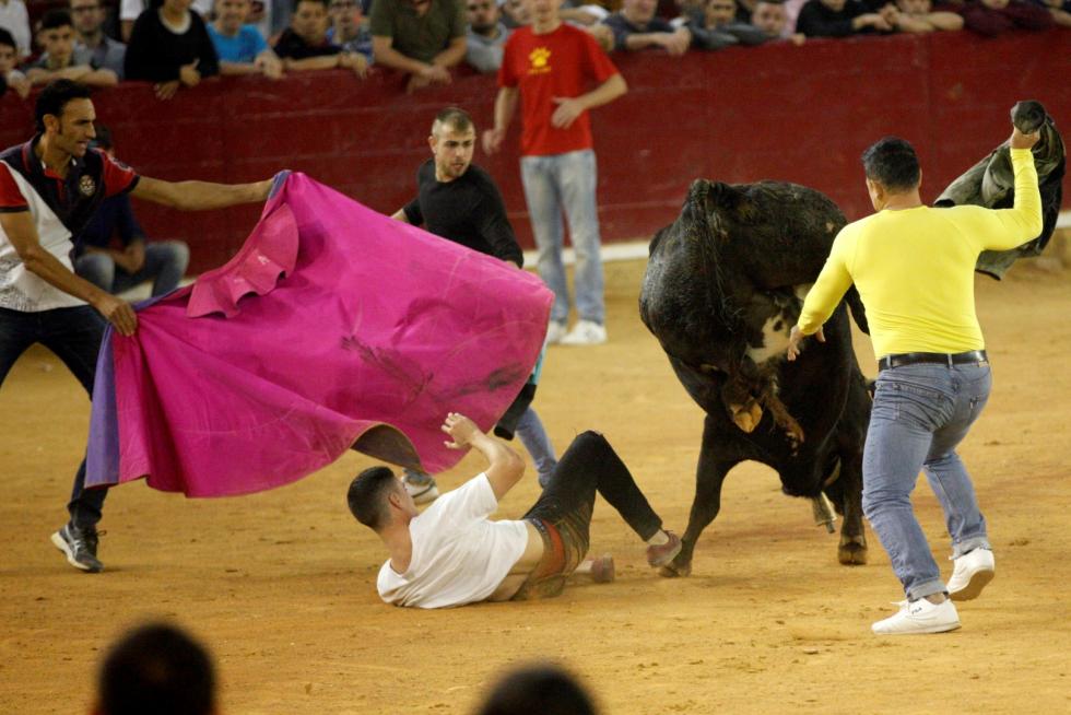 Lleno en la Misericordia para despedir las vaquillas de las fiestas del Pilar 2019.