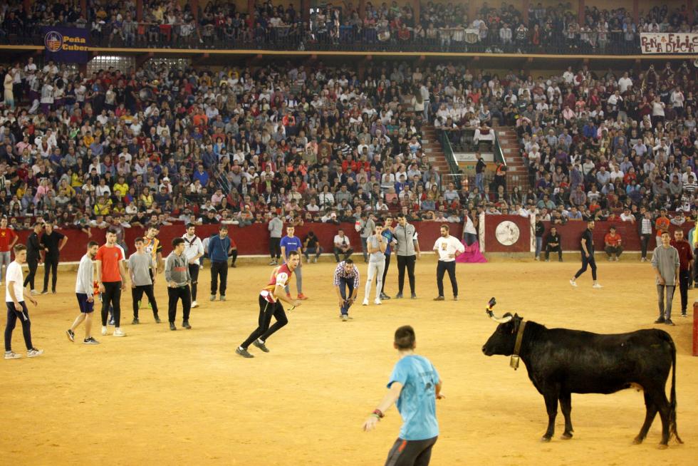 Lleno en la Misericordia para despedir las vaquillas de las fiestas del Pilar 2019.
