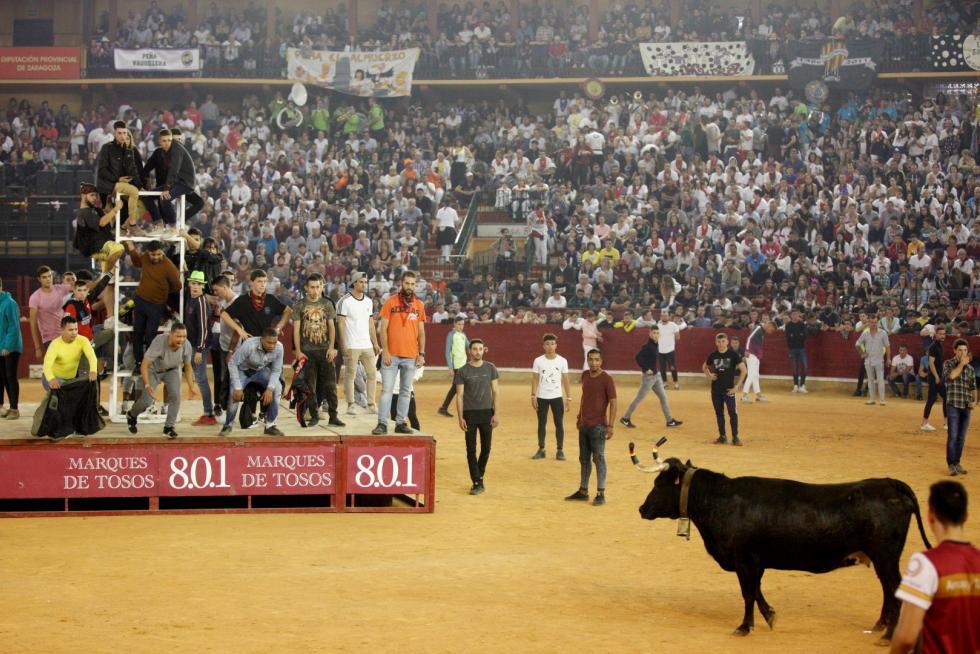 Lleno en la Misericordia para despedir las vaquillas de las fiestas del Pilar 2019.