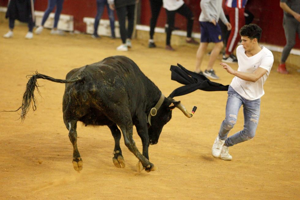 Lleno en la Misericordia para despedir las vaquillas de las fiestas del Pilar 2019.
