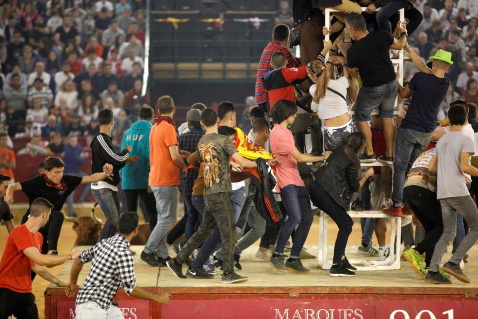 Lleno en la Misericordia para despedir las vaquillas de las fiestas del Pilar 2019.