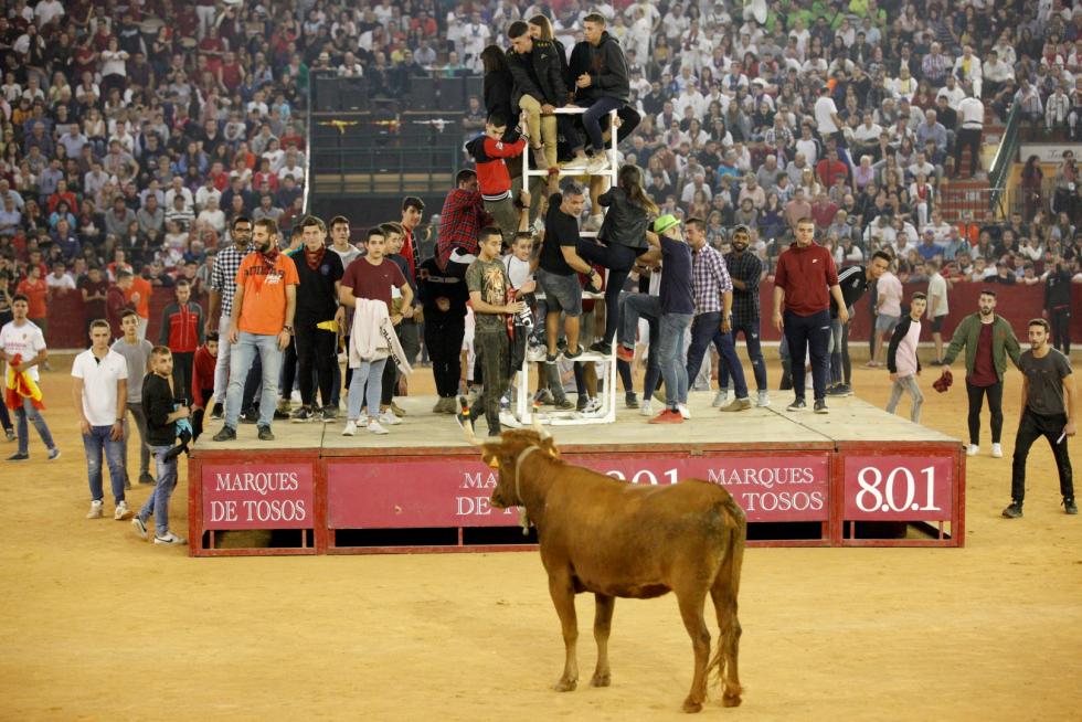 Lleno en la Misericordia para despedir las vaquillas de las fiestas del Pilar 2019.