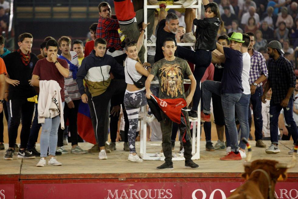 Lleno en la Misericordia para despedir las vaquillas de las fiestas del Pilar 2019.