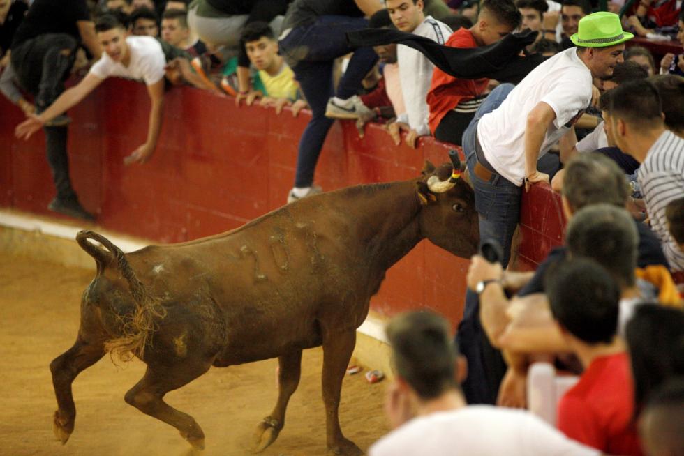 Lleno en la Misericordia para despedir las vaquillas de las fiestas del Pilar 2019.