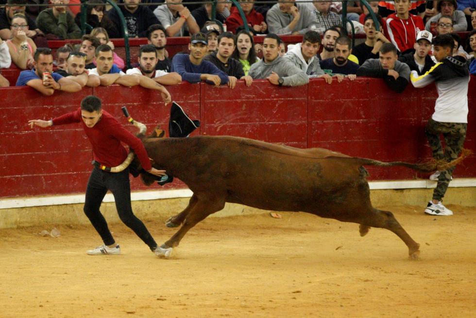 Lleno en la Misericordia para despedir las vaquillas de las fiestas del Pilar 2019.