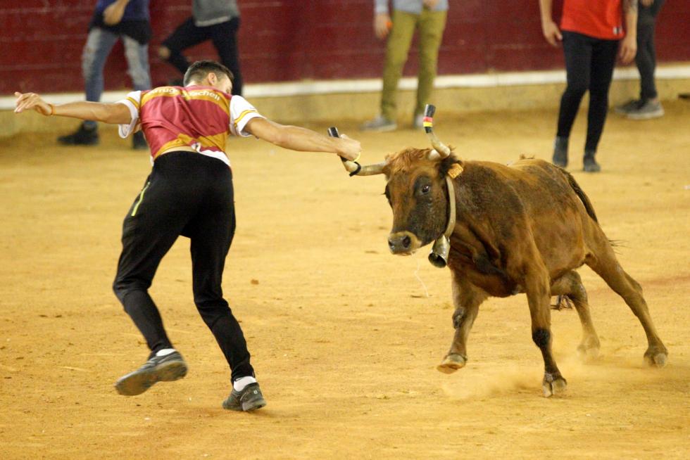 Lleno en la Misericordia para despedir las vaquillas de las fiestas del Pilar 2019.