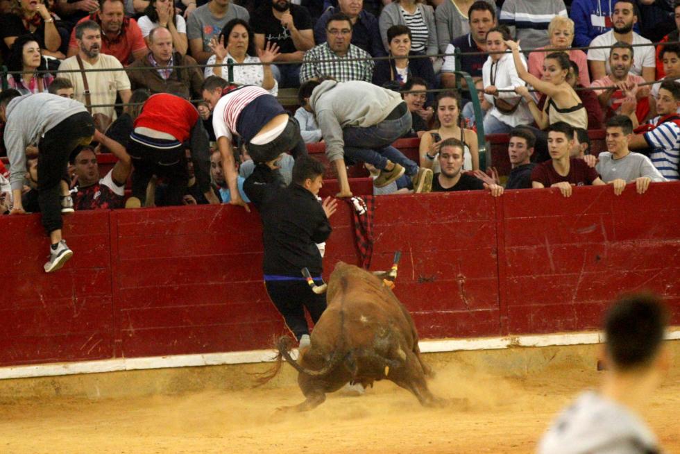 Lleno en la Misericordia para despedir las vaquillas de las fiestas del Pilar 2019.