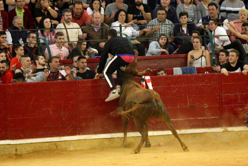 Lleno en la Misericordia para despedir las vaquillas de las fiestas del Pilar 2019.