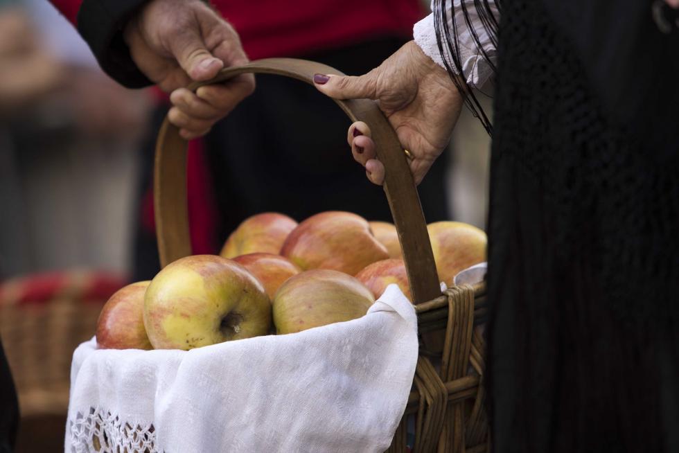 Ofrenda de Frutos 2019.
