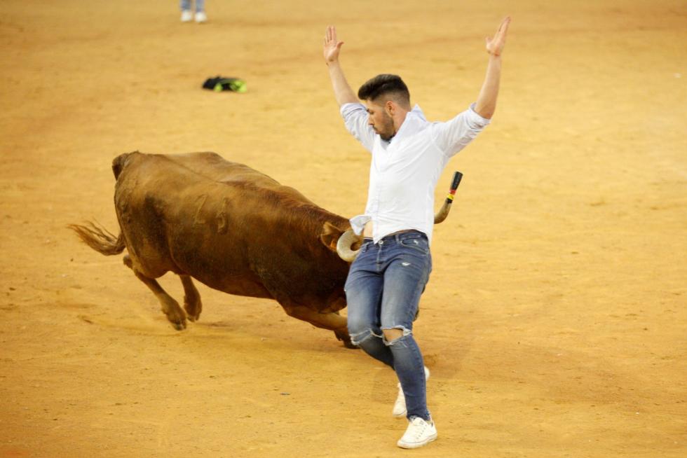 Búscate en las Fiestas del Pilar 2019 en Zaragoza