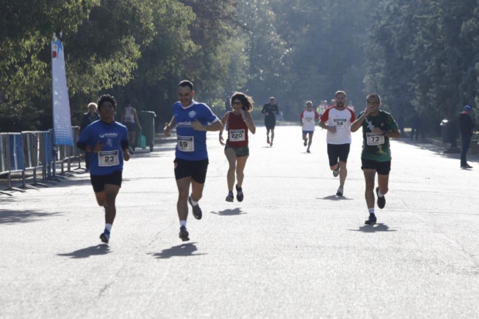 Más de 250 corredores participan en la II Carrera del Ahorro Pensumo en Zaragoza.