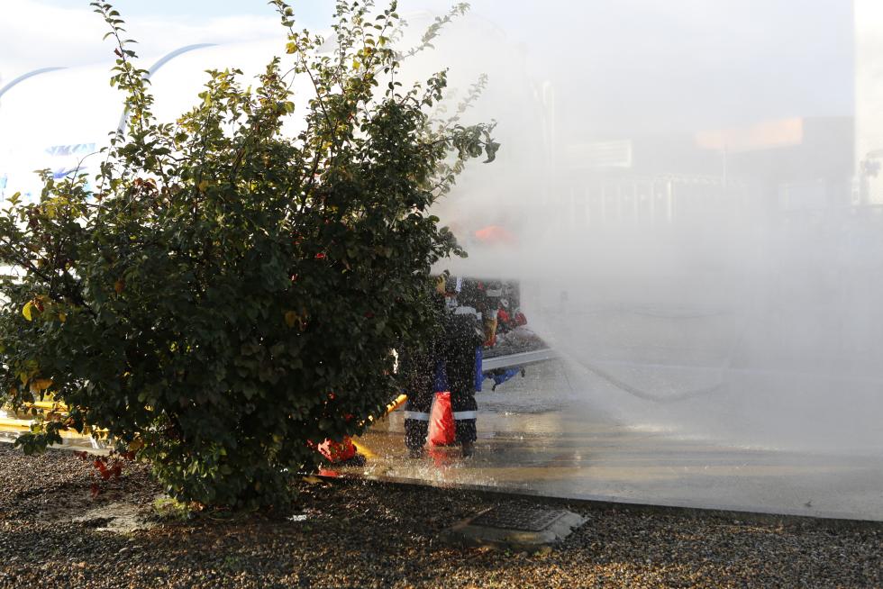 La intervención se ha llevado a cabo por varias dotaciones de Bomberos de Zaragoza.