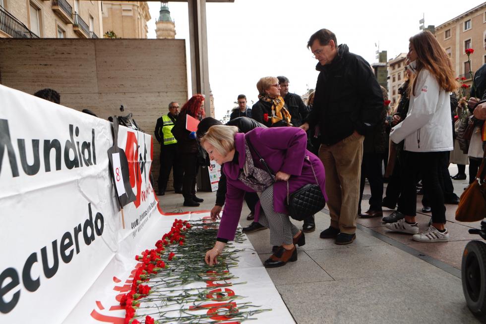 Día Mundial de las Víctimas de Tráfico en la Plaza del Pilar