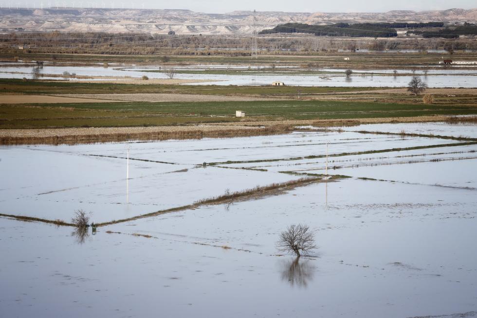 Crecida del río Ebro a su paso por la localidad zaragozana de Gallur.
