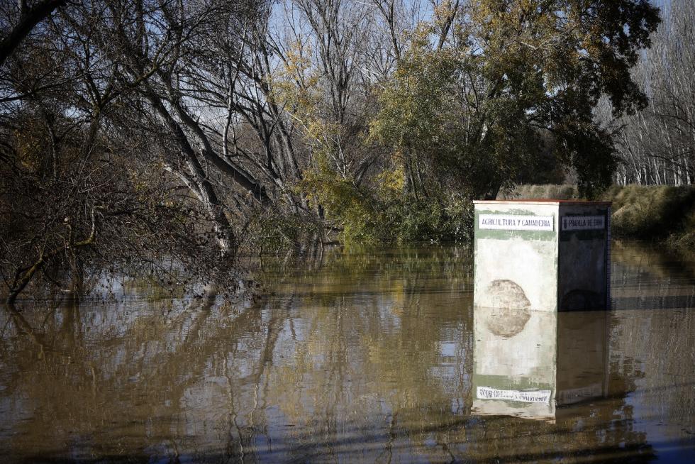 Crecida del río Ebro a su paso por la localidad zaragozana de Gallur.