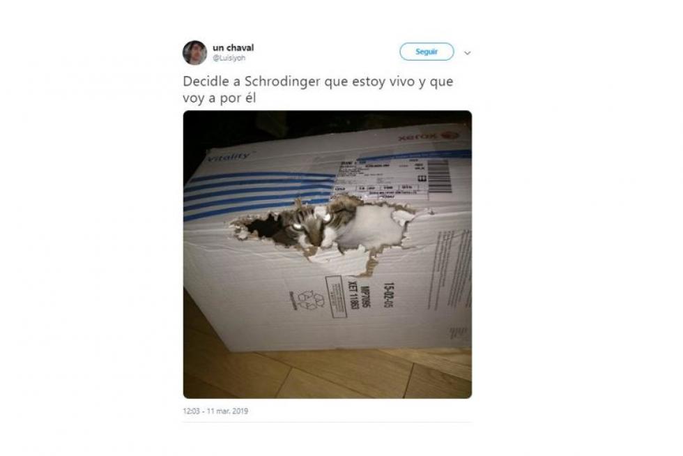 Mejores memes de 2019