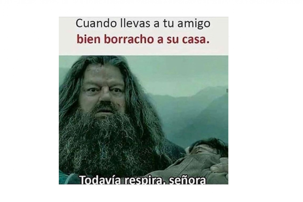Mejores memes de 2019