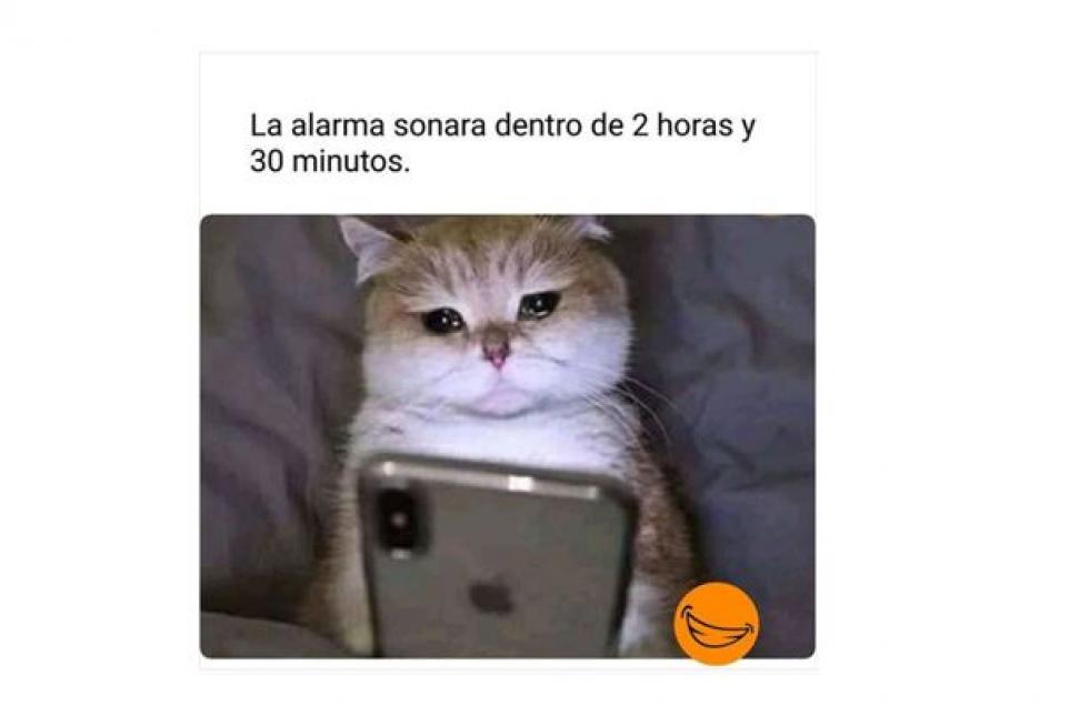 Mejores memes de 2019