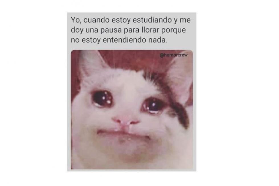 Mejores memes de 2019