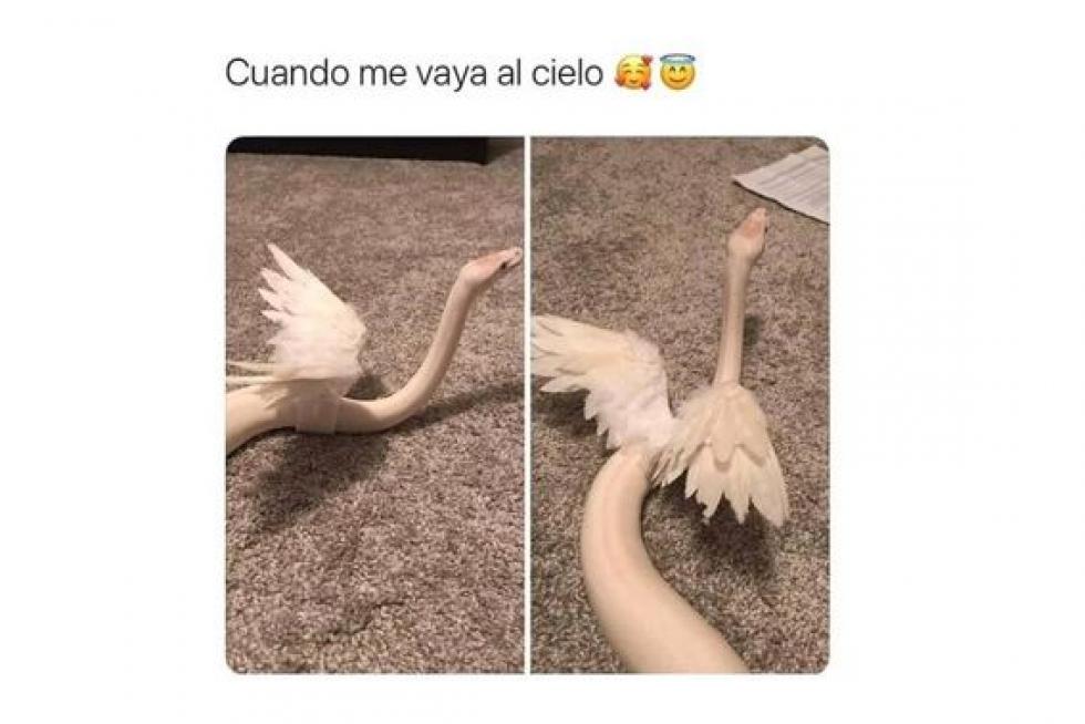 Mejores memes de 2019
