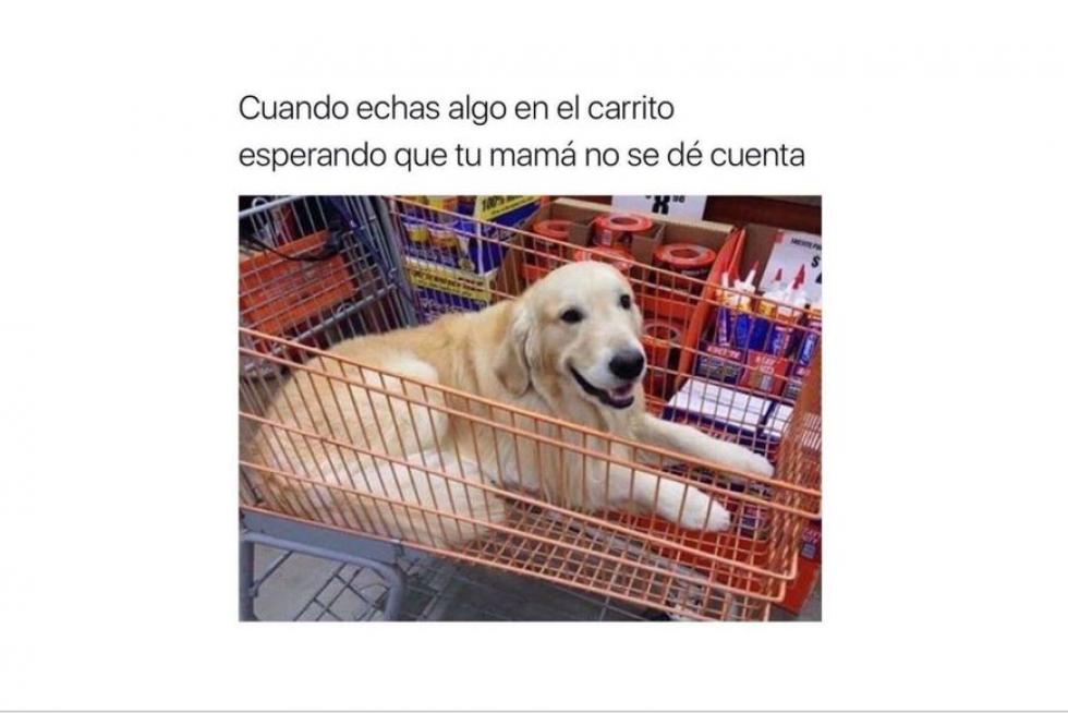 Mejores memes de 2019