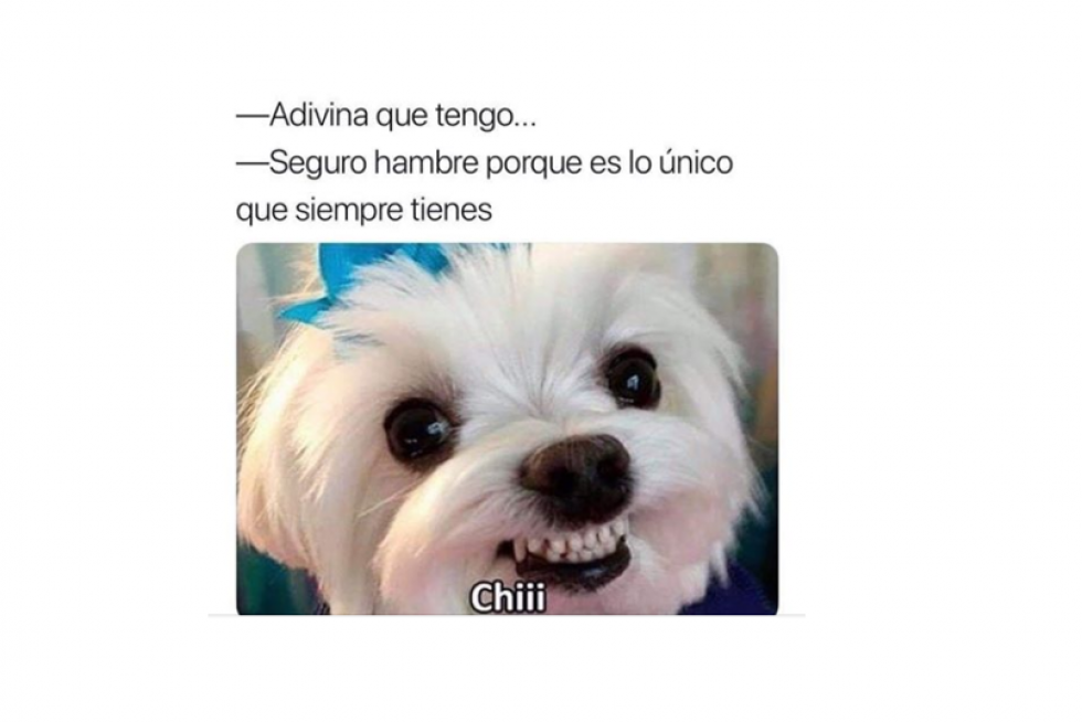 Mejores memes de 2019