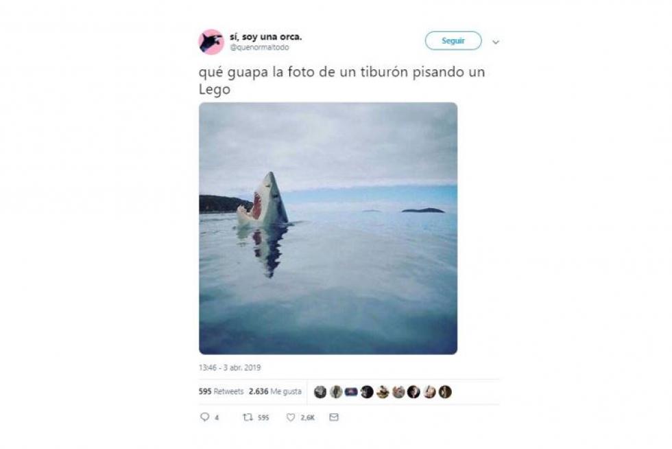 Mejores memes del 2019