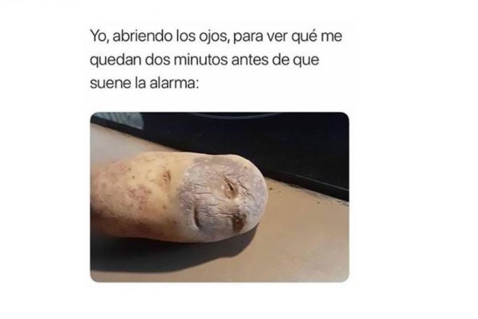 Mejores memes de 2019