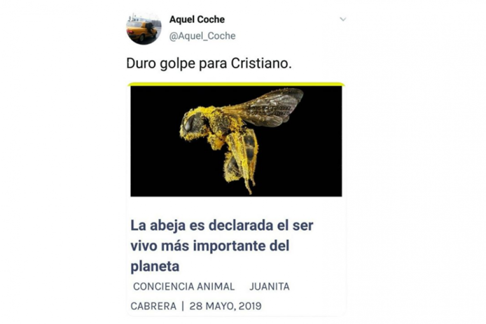 Mejores memes de 2019