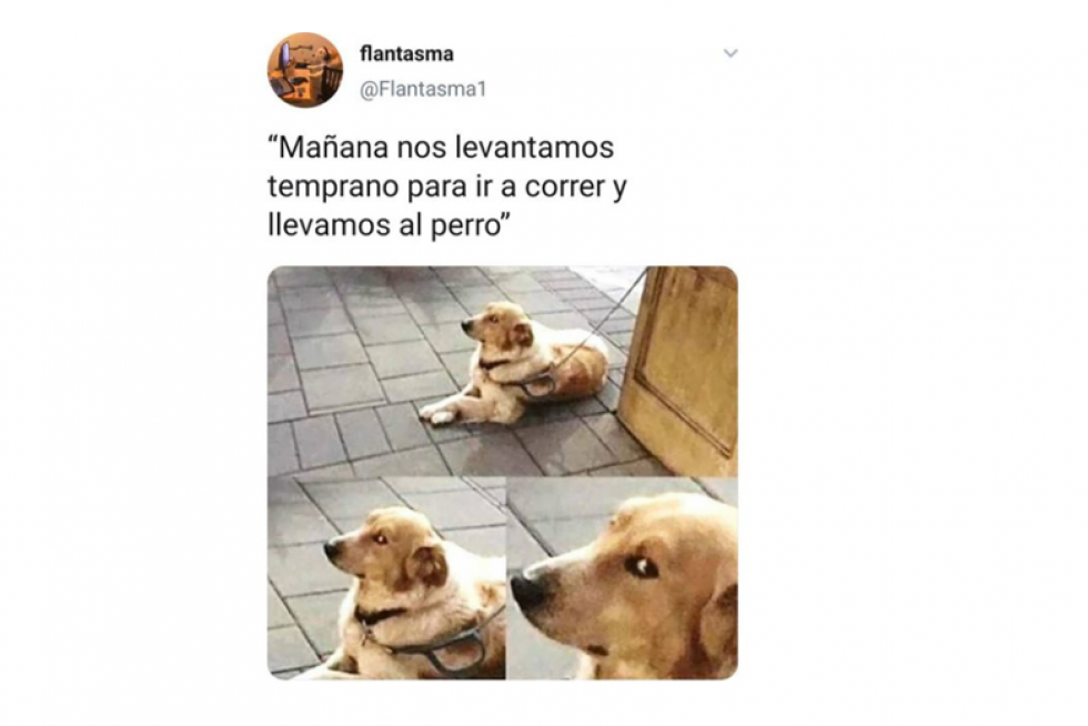 Mejores memes de 2019