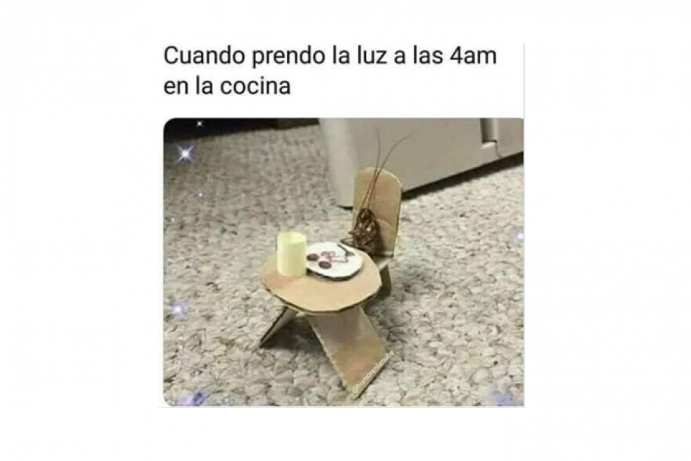 Mejores memes de 2019