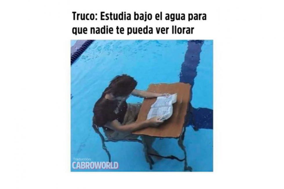 Mejores memes de 2019