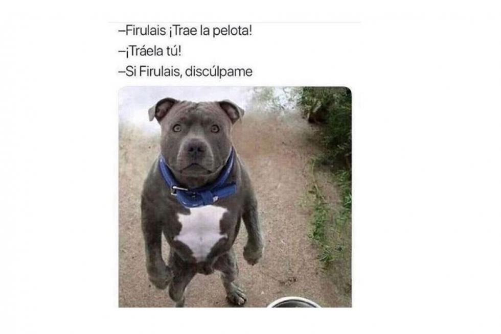Mejores memes de 2019
