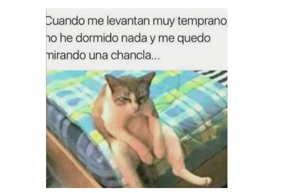 Mejores memes de 2019