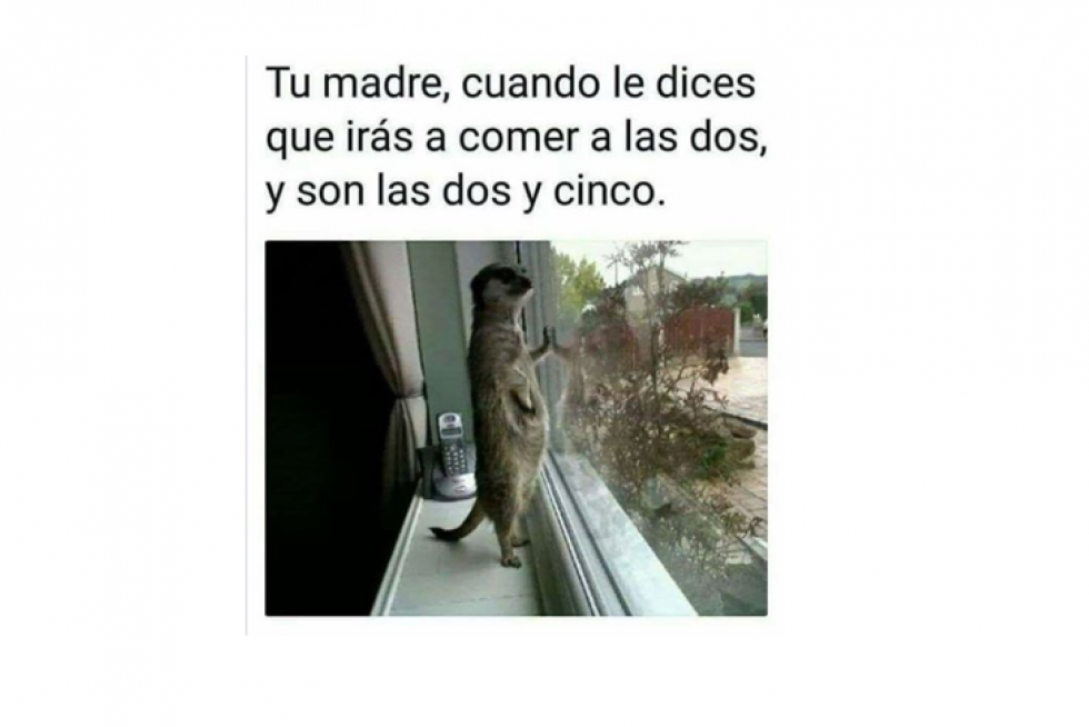 Mejores memes de 2019