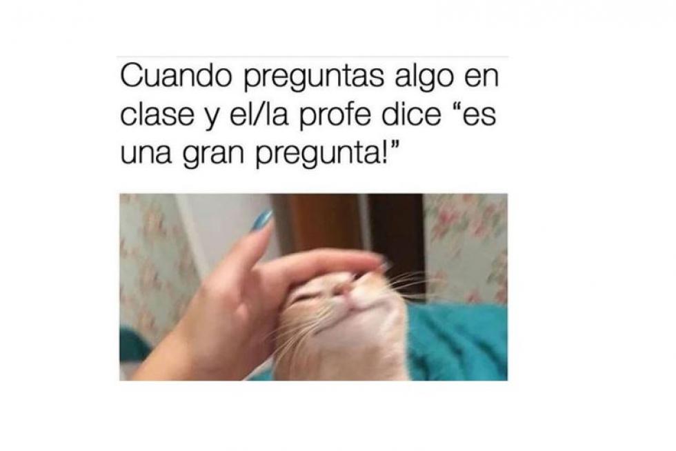 Mejores memes de 2019