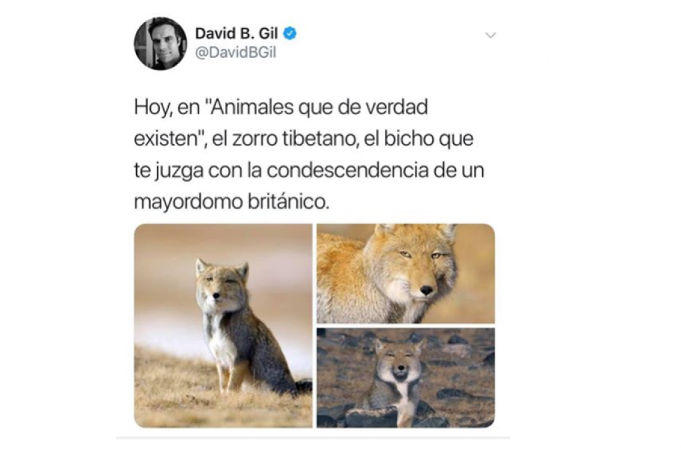 Mejores memes de 2019