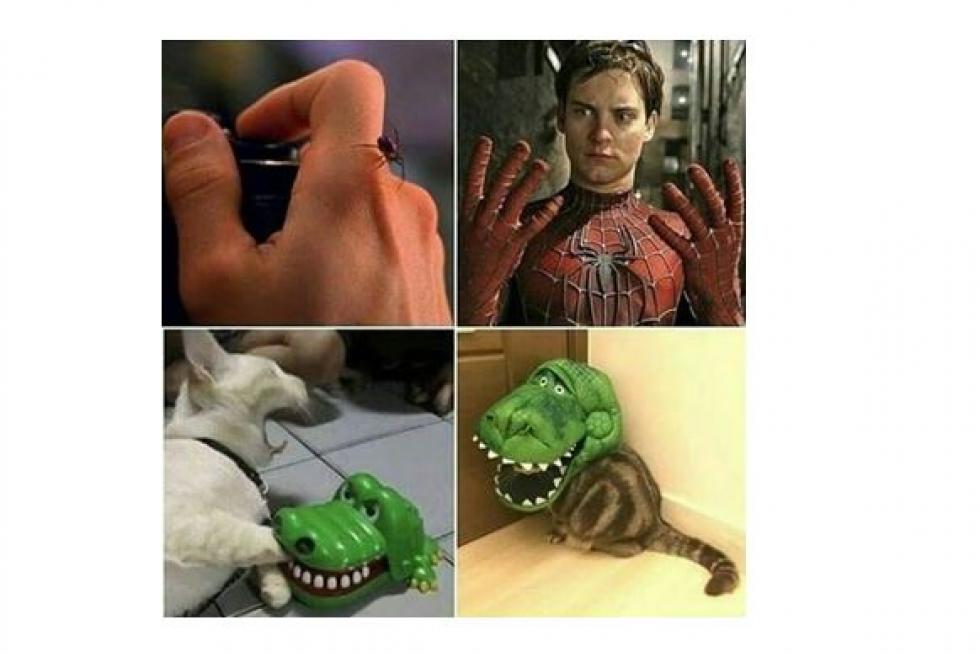 Mejores memes de 2019