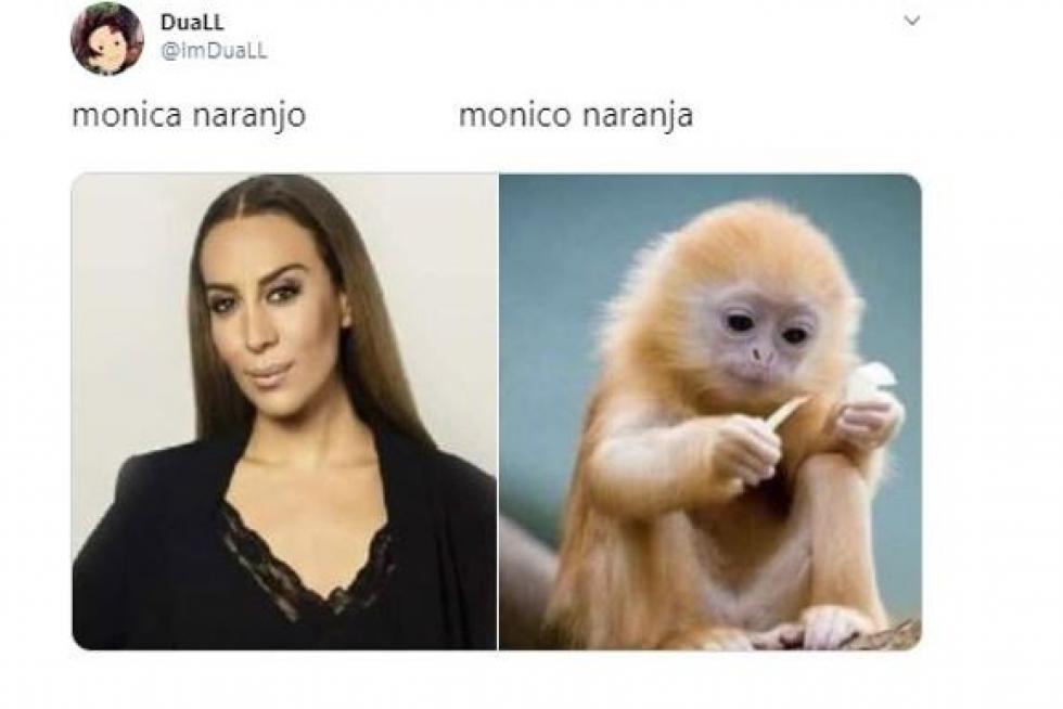 Mejores memes de 2019