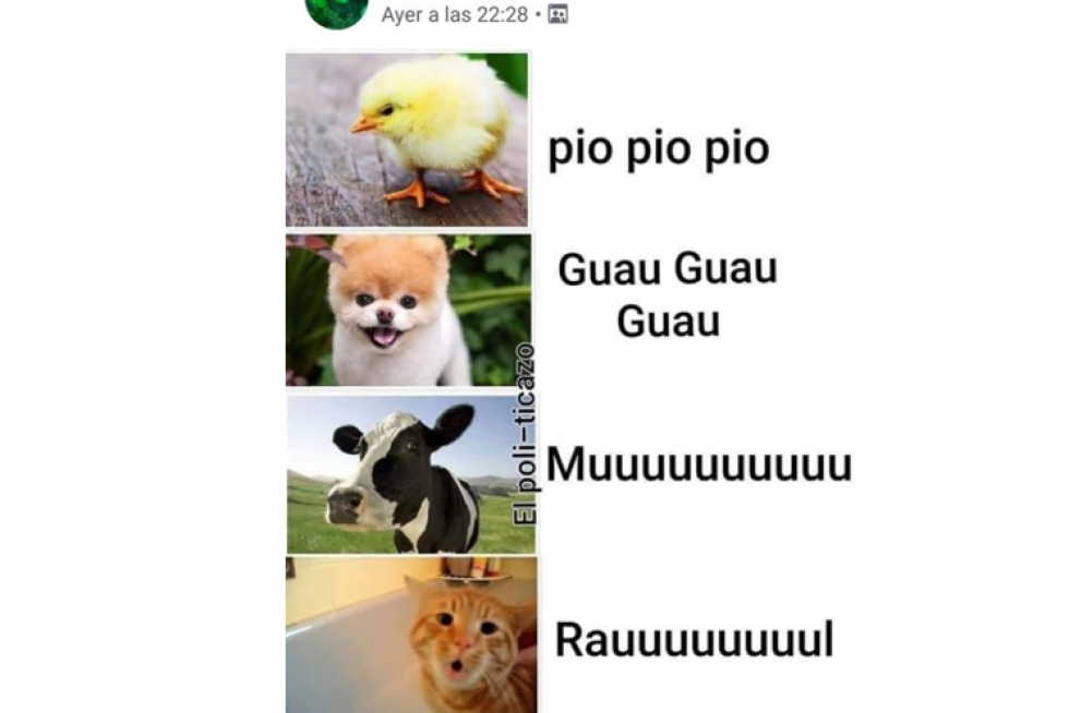 Mejores memes de 2019