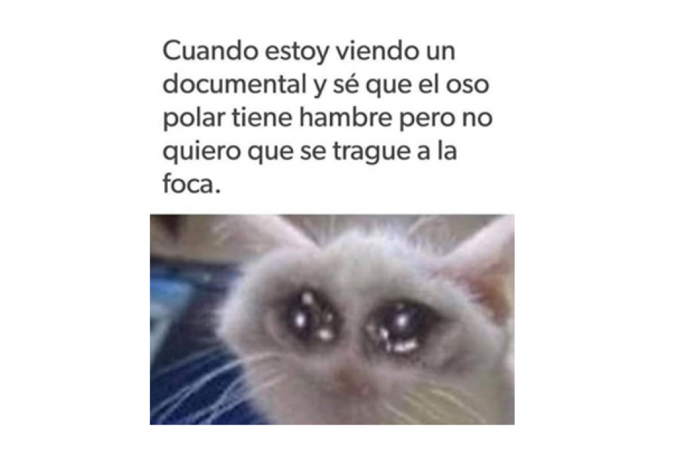 Mejores memes de 2019