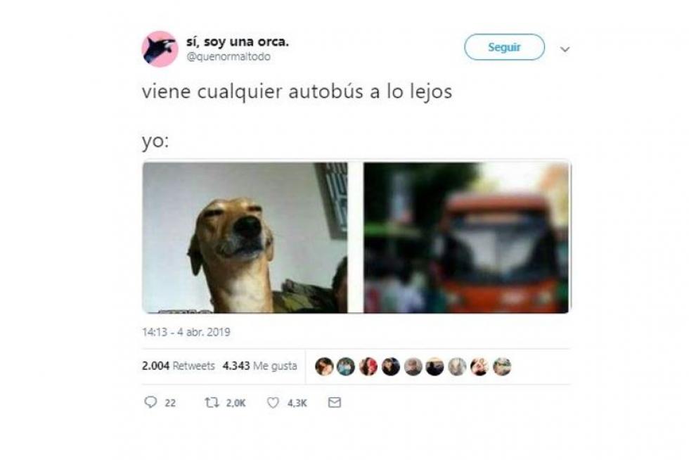 Mejores memes del 2019