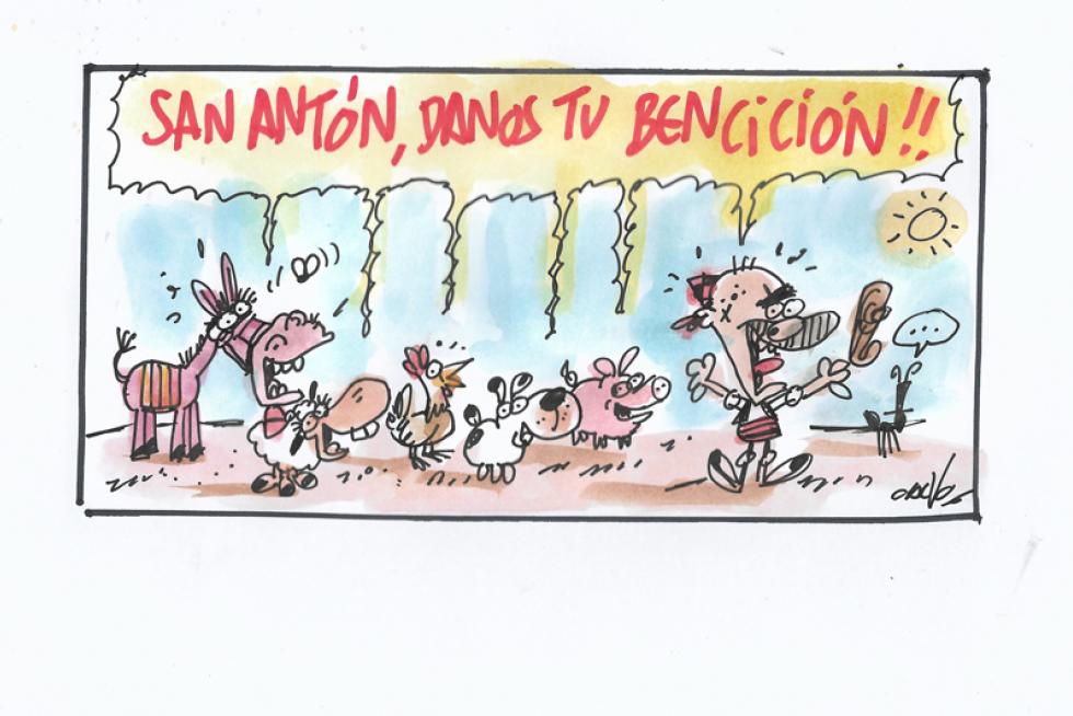 Supermaño san antón