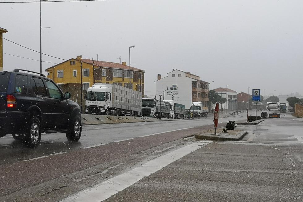 nevadas