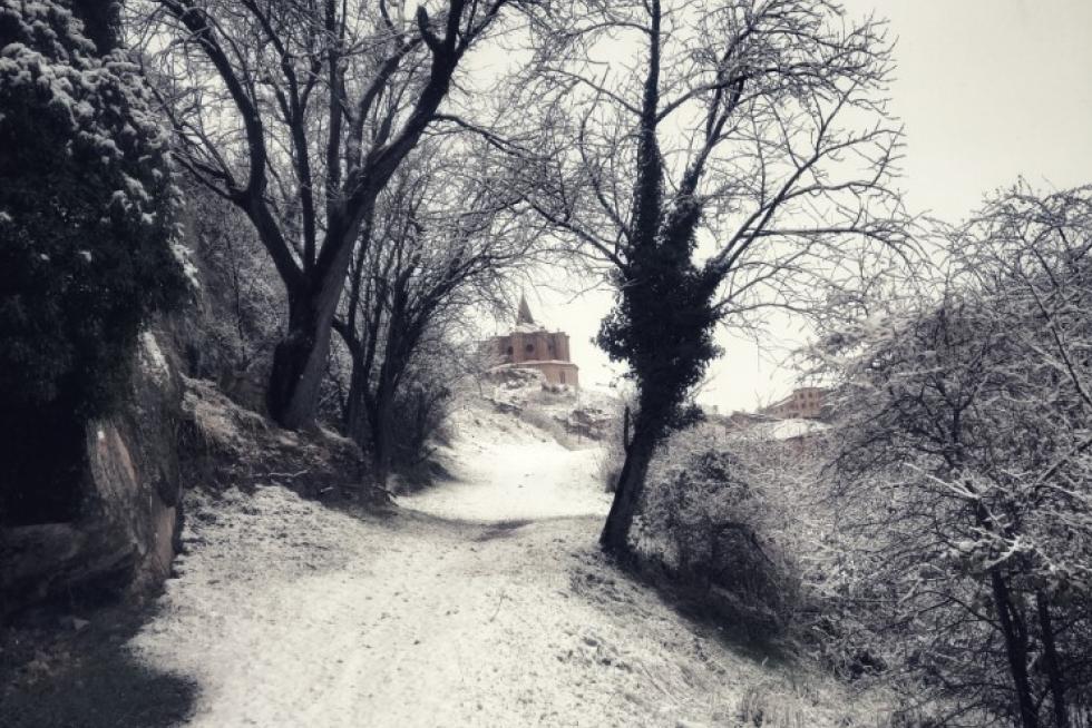 nevadas