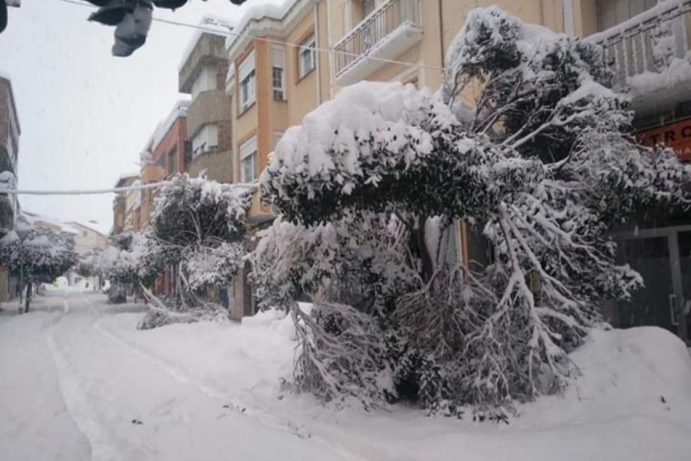 Imagen de la avenida San Jorge de Andorra, la calle principal peatonal, donde el peso de la nieve ha roto los árboles.