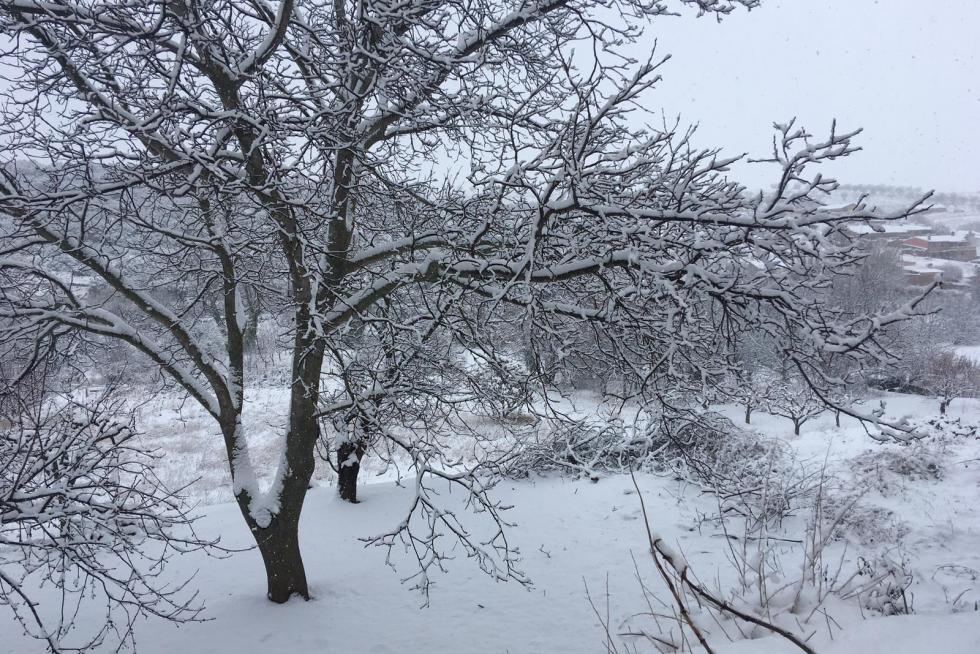 Imagen de la nevada en Lituénigo