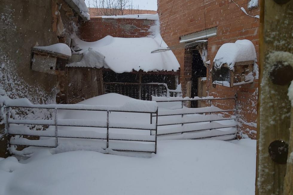 Imágenes de la nevada en Ferreruela de Huerva (Teruel).